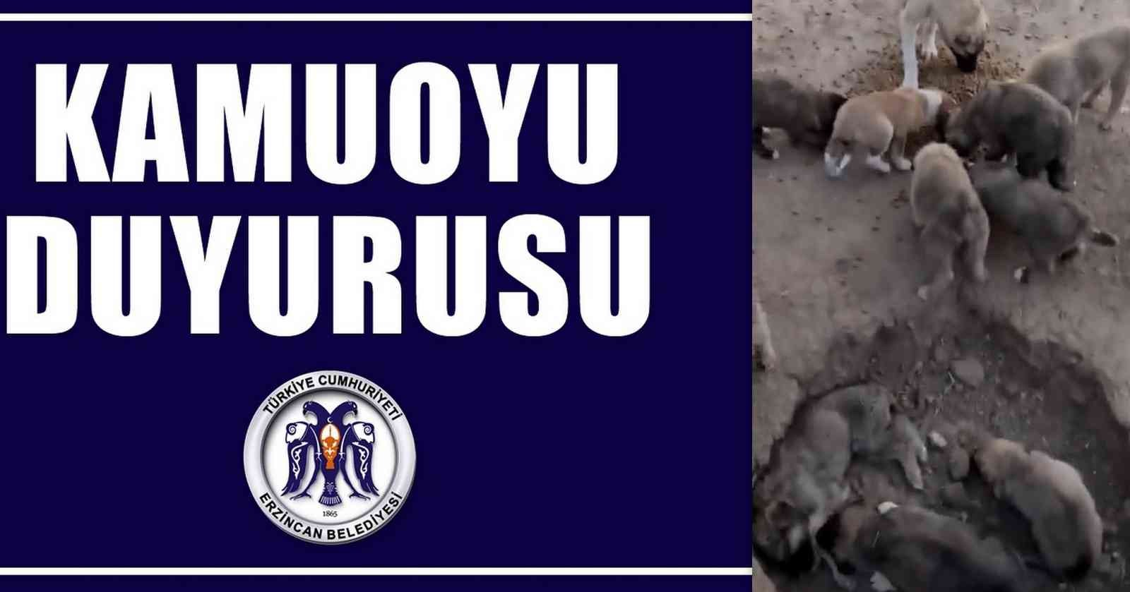 Erzincan Belediyesinden Hayvan Bakımeviyle İlgili İddialara Yönelik 2 Gün Sonra Açıklama Yapıldı