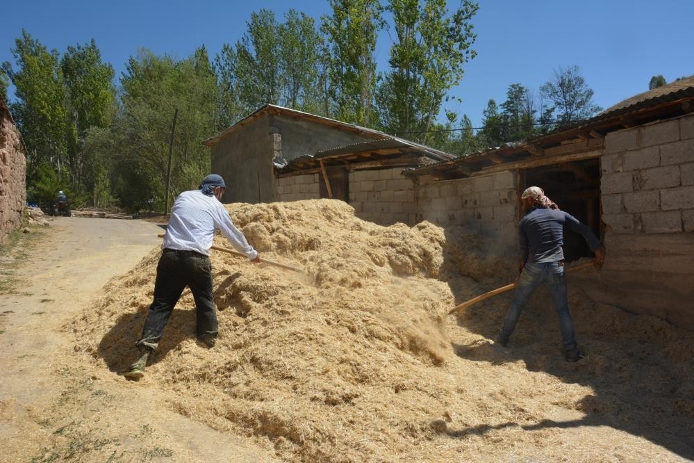 Erzincanda Çiftçinin Kış Hazırlığı Sürüyor