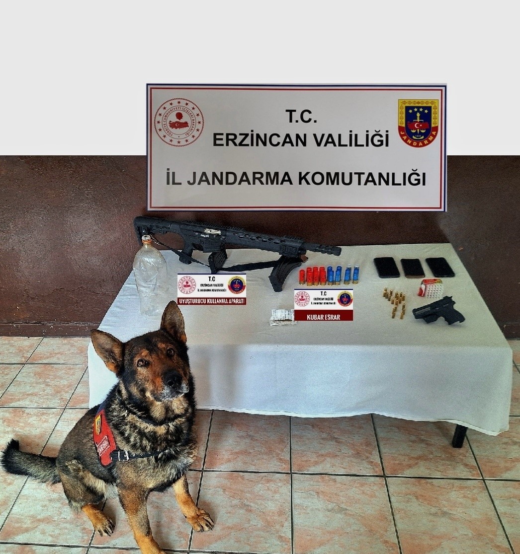Erzincanda Jandarmanın 1 Aylık Faaliyeti Açıklandı