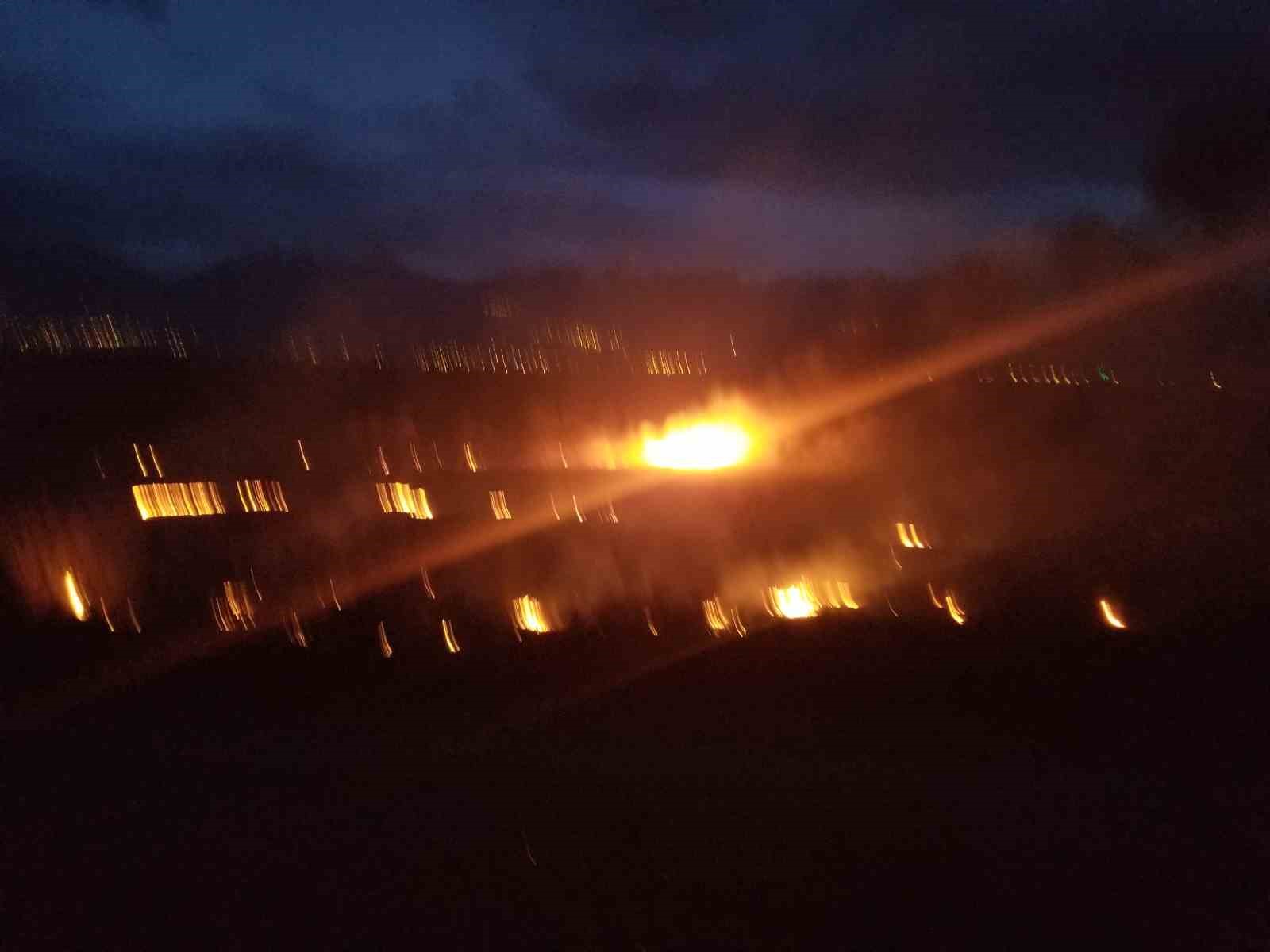 Erzincanda Örtü Yangını Korkuttu