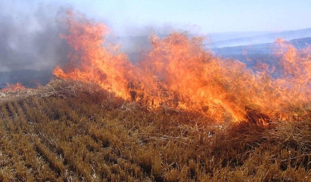 Sıcak Hava Erzincanda Yangınları Artırdı